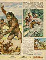 Lucy et les australopitheques (2)